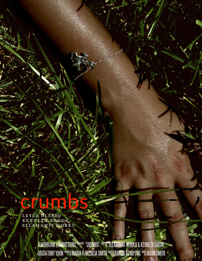 Poster to the short film I co-wrote, produced, and starred that was featured at the Big Apple Film Festival. Featuring a hand lifeless on the ground and the title, crumbs