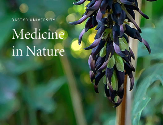 image of an post card appeal that features an herb that has been linked to helping patients who have been diagnosed with Parkinson's